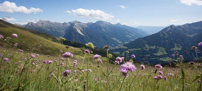 sommer-2