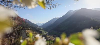 fruehling-1