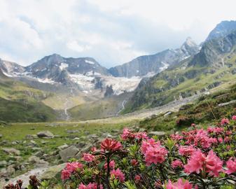 Sommer Wanderspecials - Passeiertal erleben