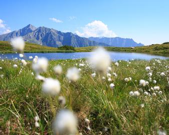 Sommerspecials - Passeiertal erleben