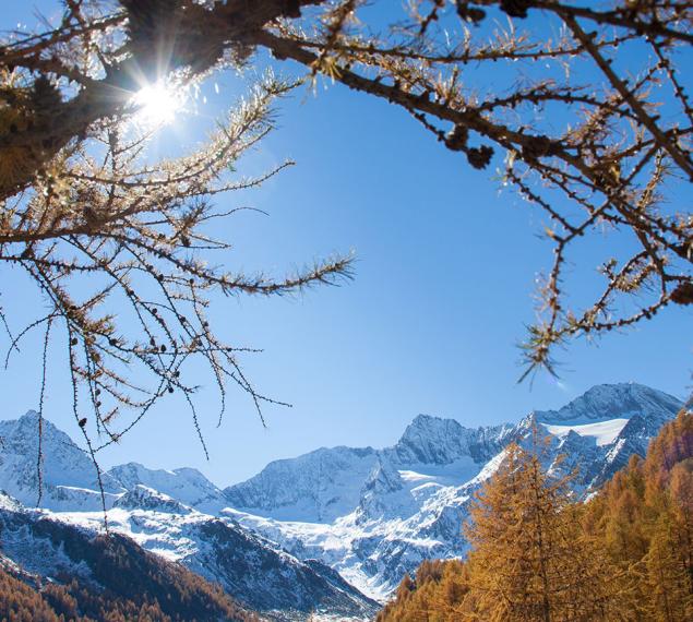 Sentieri in ogni stagione dell'anno