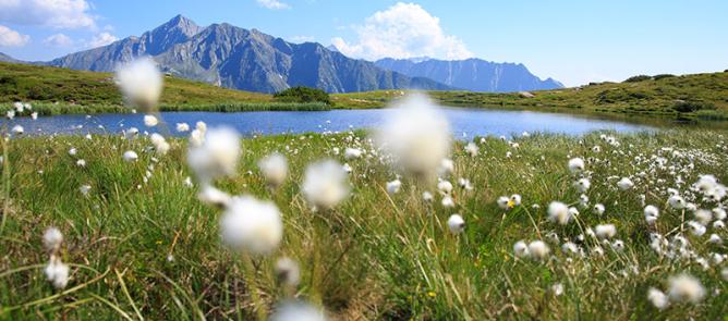 Sommerspecials - Passeiertal erleben