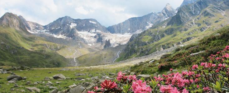 Sommer Wanderspecials - Passeiertal erleben