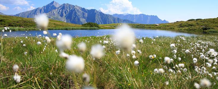 Sommerspecials - Passeiertal erleben